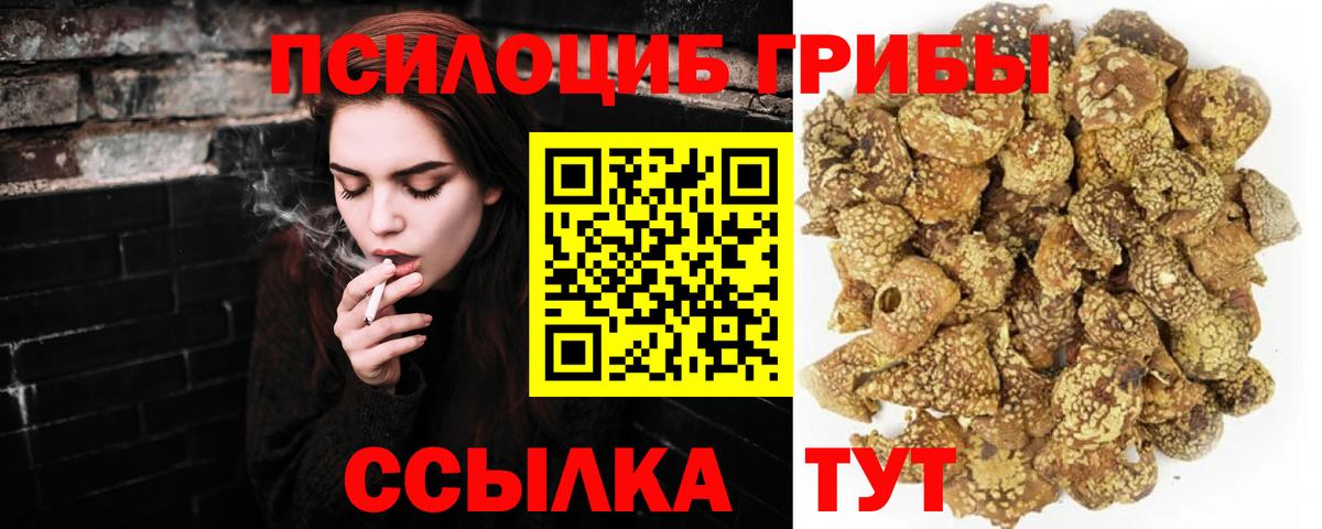 Балтийск  Галлюциногенные грибы мицелий  Вход с VPN 