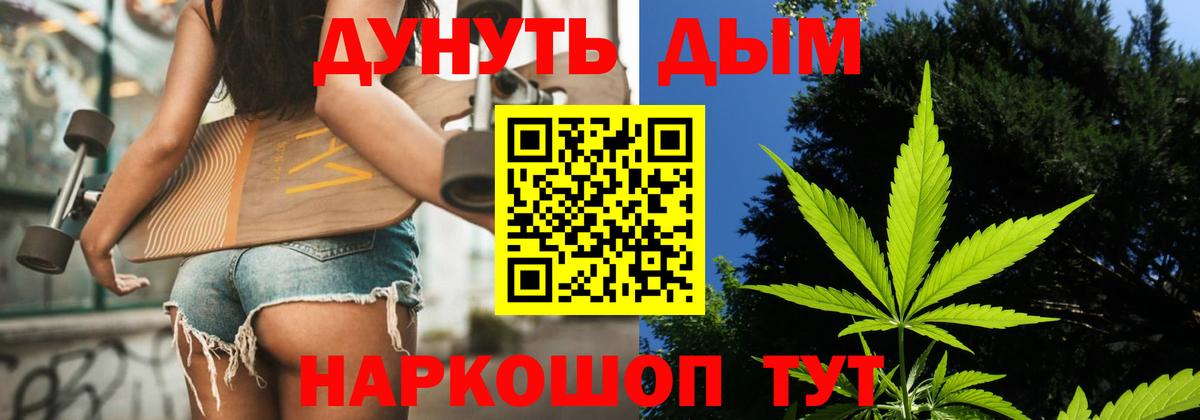 Конопля гибрид Балтийск